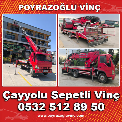 ÇAYYOLU SEPETLİ VİNÇ PLATFORM